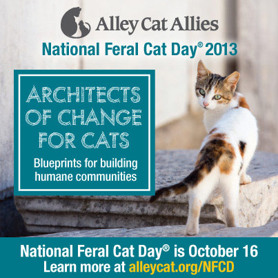 NATIONAL FERAL CAT DAY 